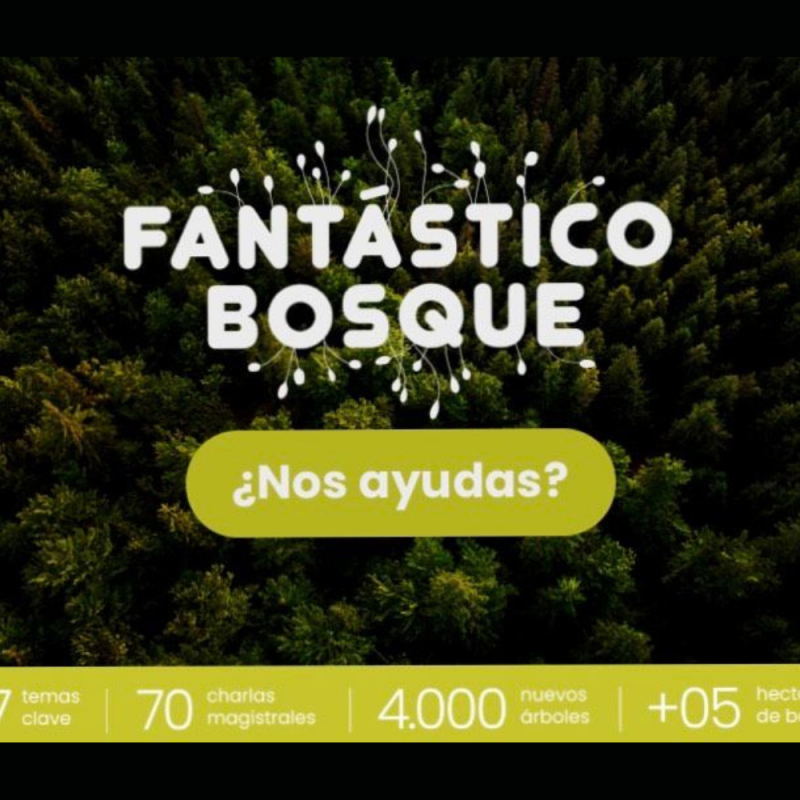 Charlas, master class y entrevistas