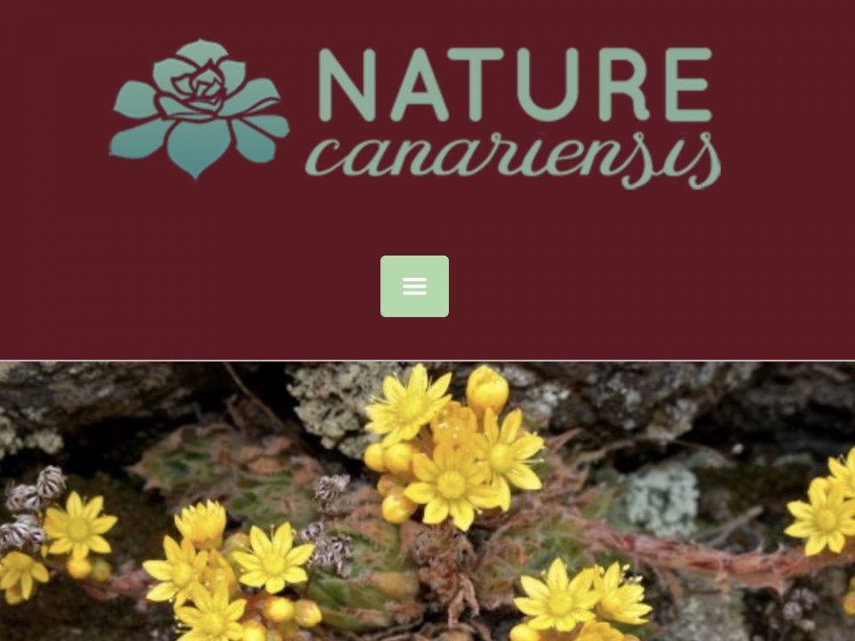 ECO RECOMENDACIÓN EN SOMOS COCO