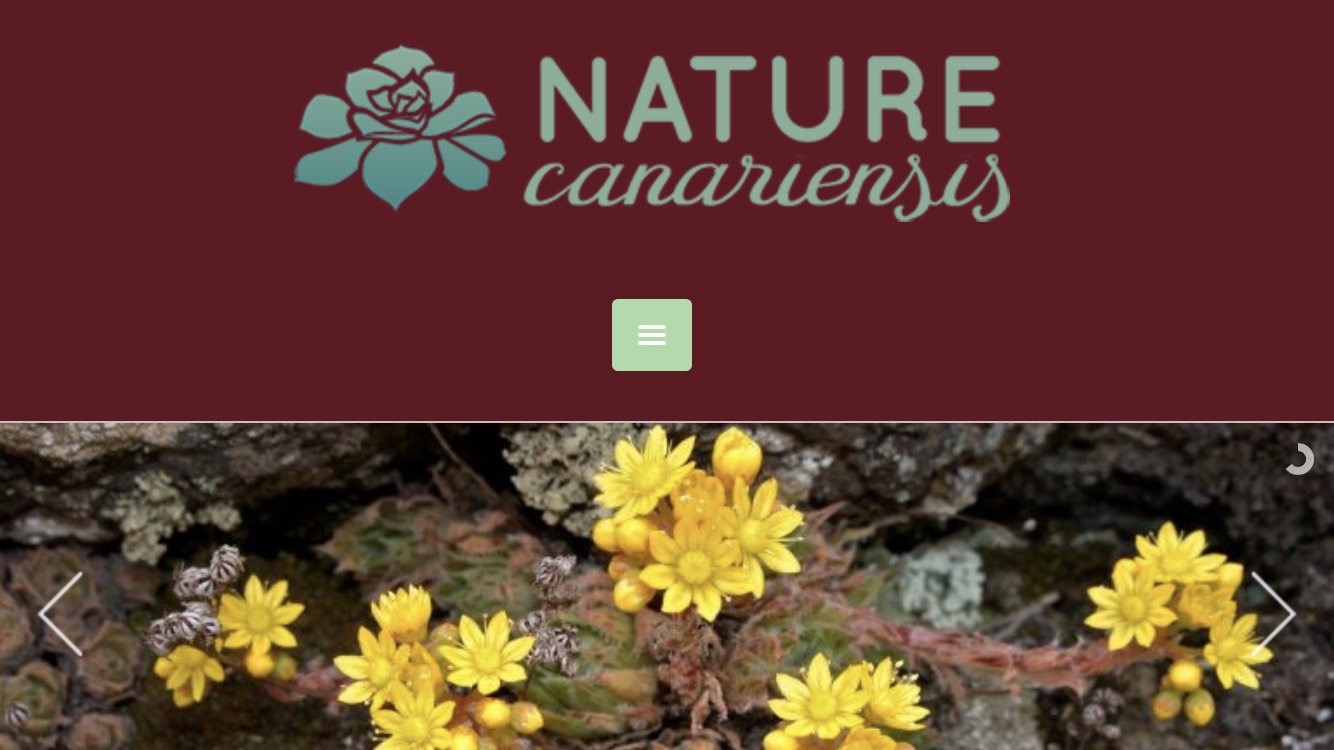 ECO RECOMENDACIÓN EN SOMOS COCO